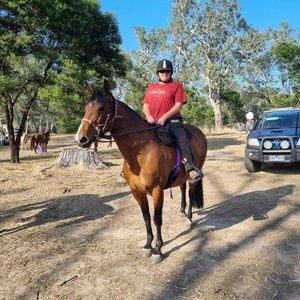 Meet your Posher, Donna